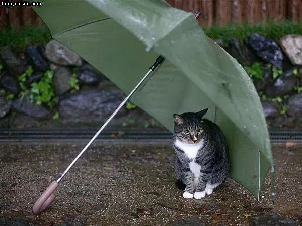 Hiding From The Rain