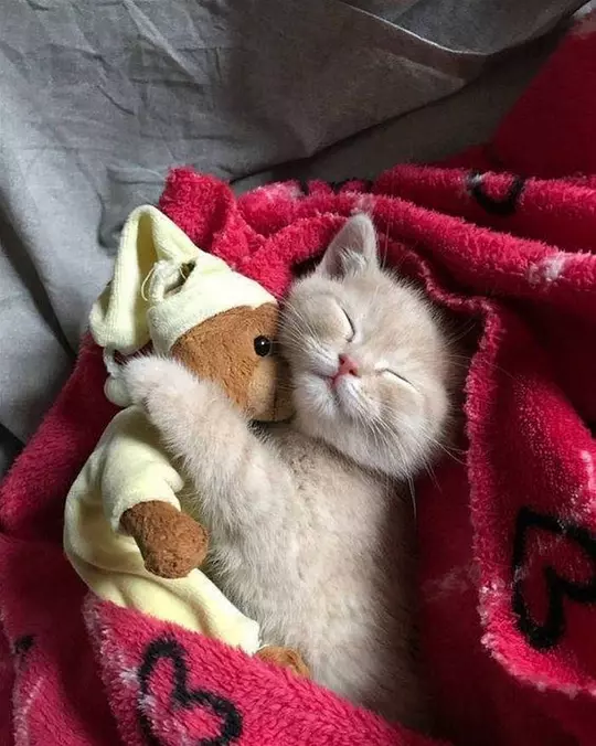 Hugging It Out