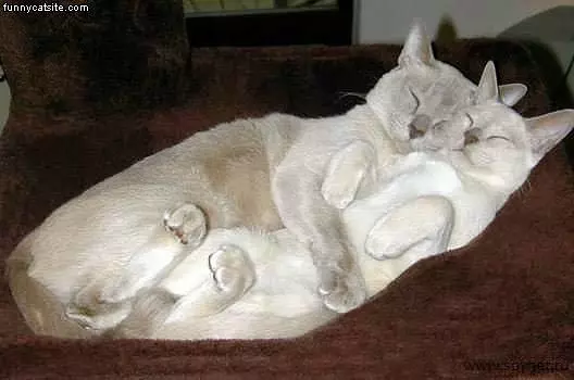Big Hugs