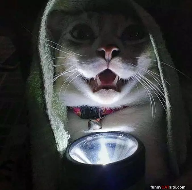 Scary Story Time
