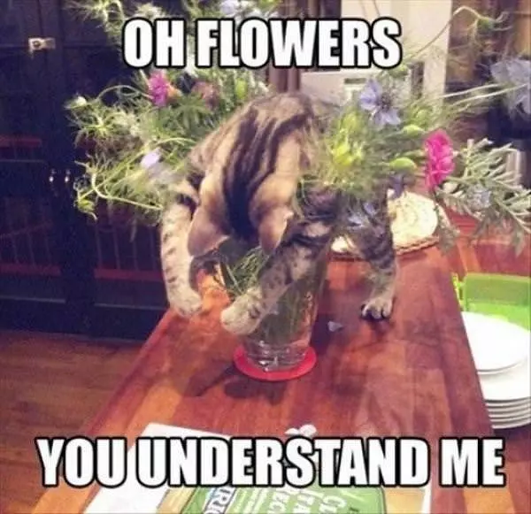 You Understand Me