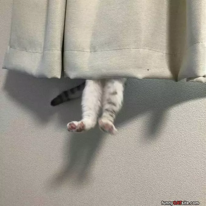 I Am Hiding