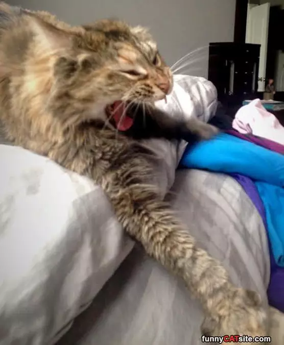 Yawnnnnnnnnnnn