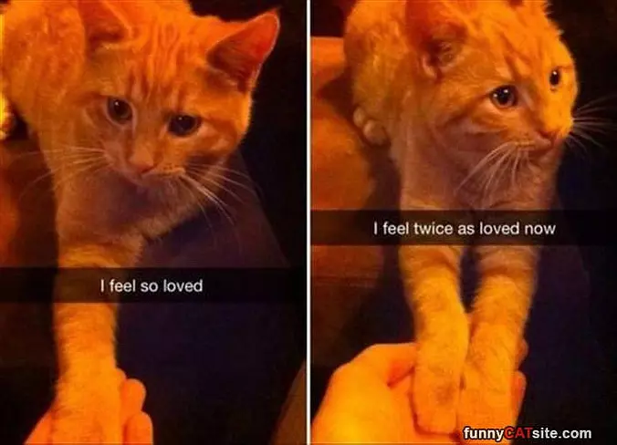 I Feel So Loved
