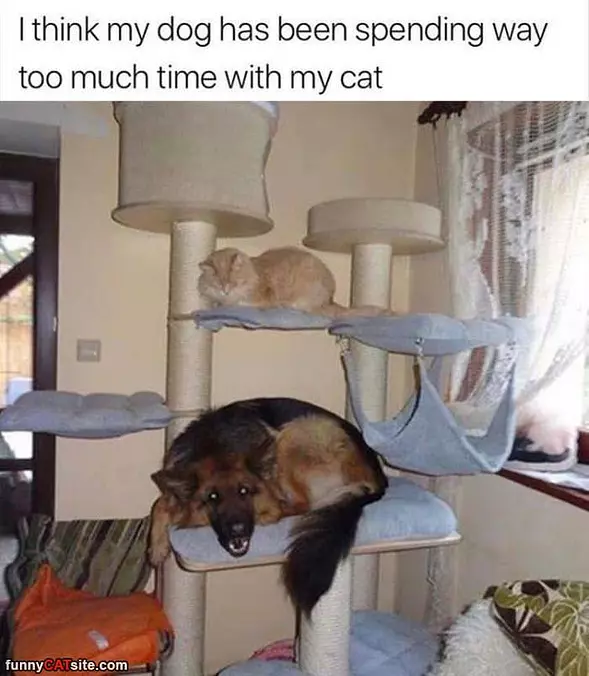 Spending Too Much Time