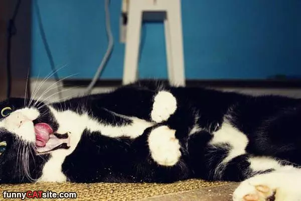 Yawwwwwnnnn