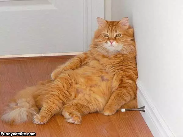 Im Having A Lazy One