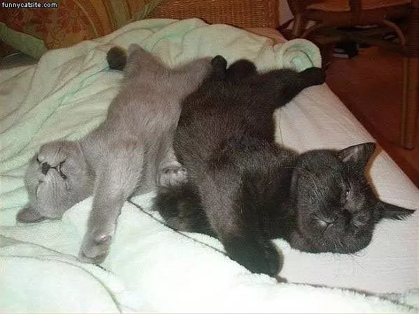 Asleep
