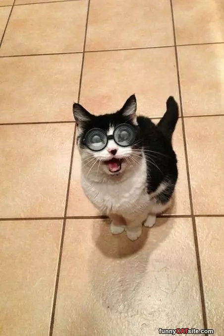 Smiiile