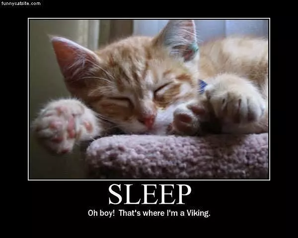 Sleep