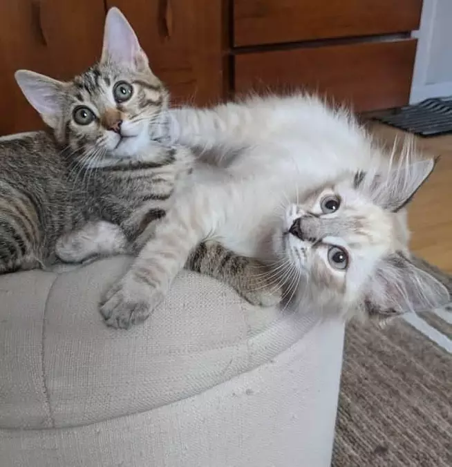 Chillin
