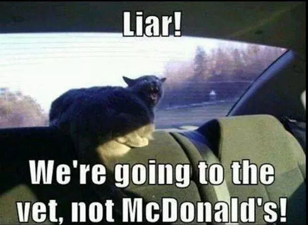Liar