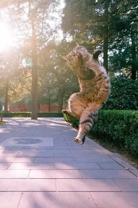 Jump Jump Jump