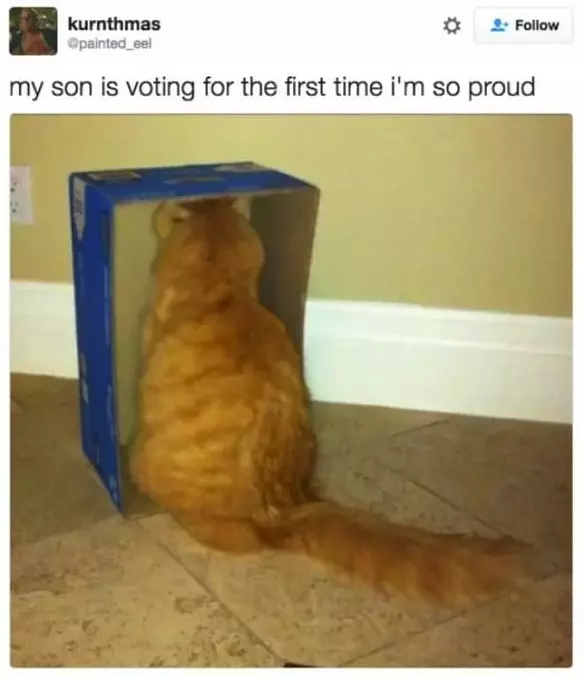 So Proud