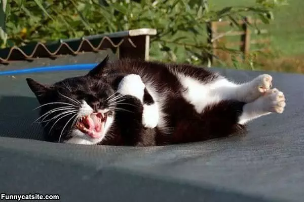 I Hate Waking Up