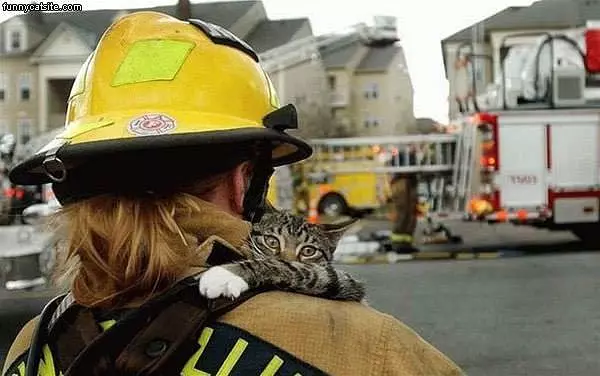 Saved