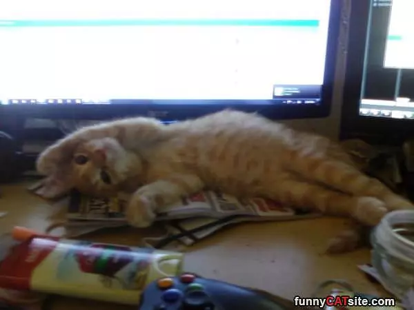 Having A Relaxing Time