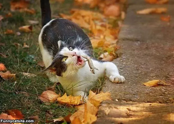 I Got You