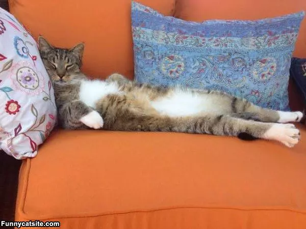 Ever Been This Relaxed
