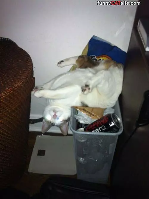 Upside Down