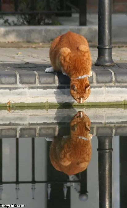Who Is That