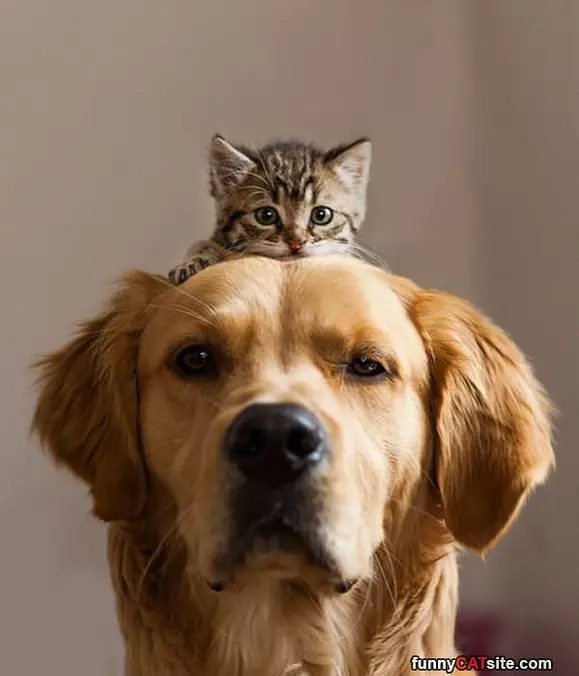 Me And My Big Buddy