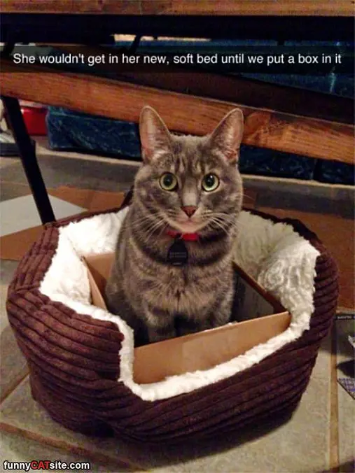 My New Bed