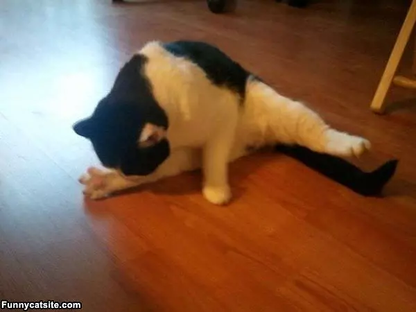 Stretch And Clean