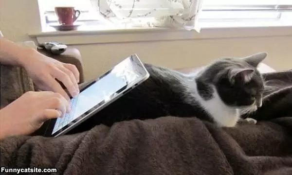 Ipad Holder