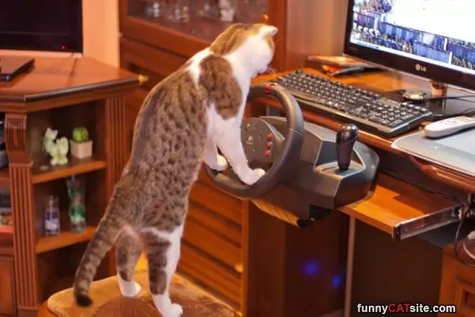 Playing A Game