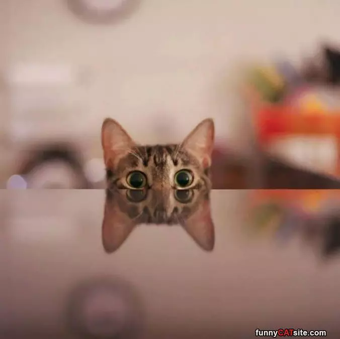 Peaking Out Over