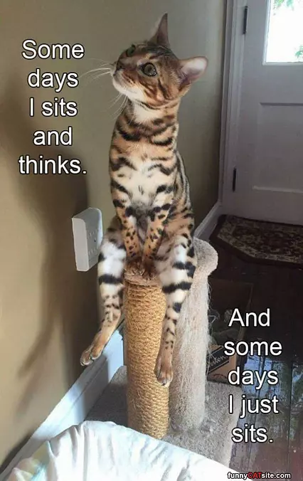 Just Sits And Thinks