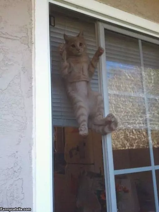 Ok Now Help Me Down