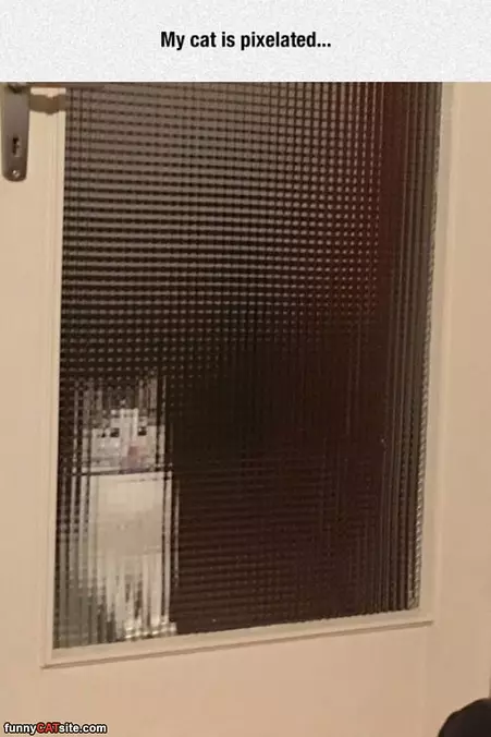 Pixelated Cat
