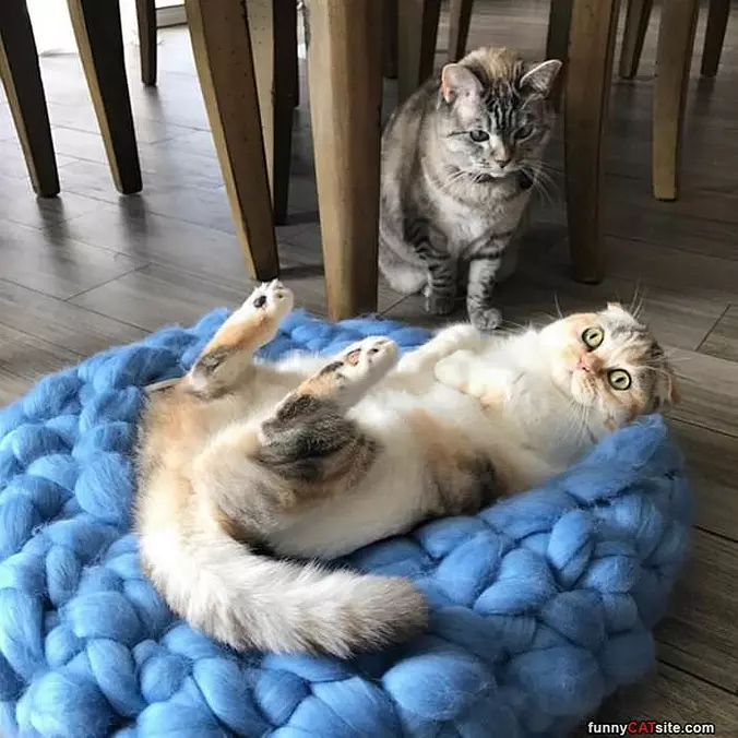 Best Place In The House