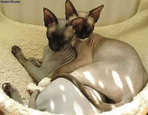 Hugs