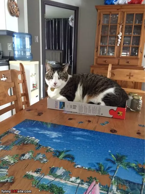 I Like This Puzzle
