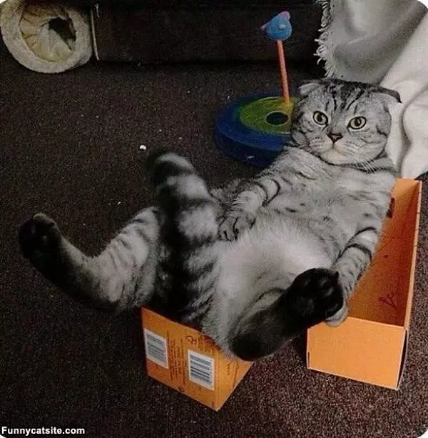 Chillin In My Box