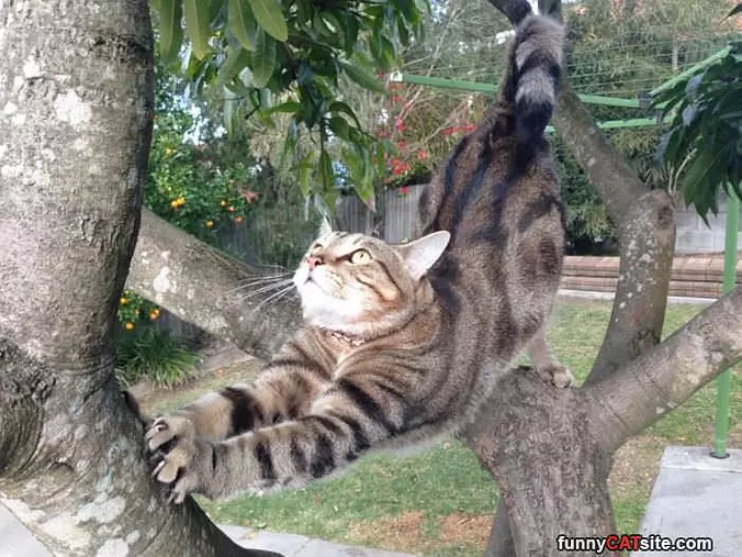 Keeping Myself Stretched Out