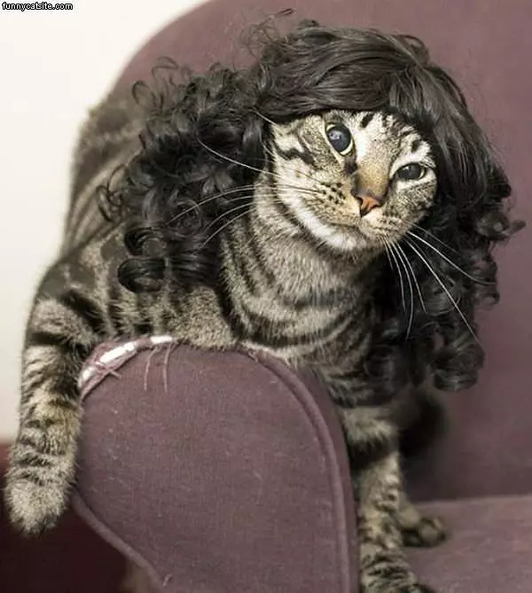 Black Wig