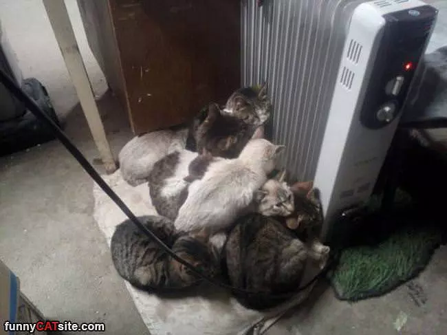 Warmest Place In The House