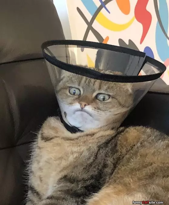 Derppppp