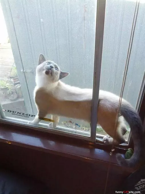 Out The Window