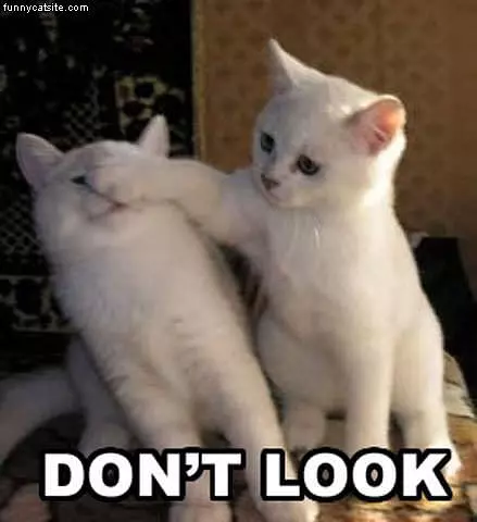 Dont Look