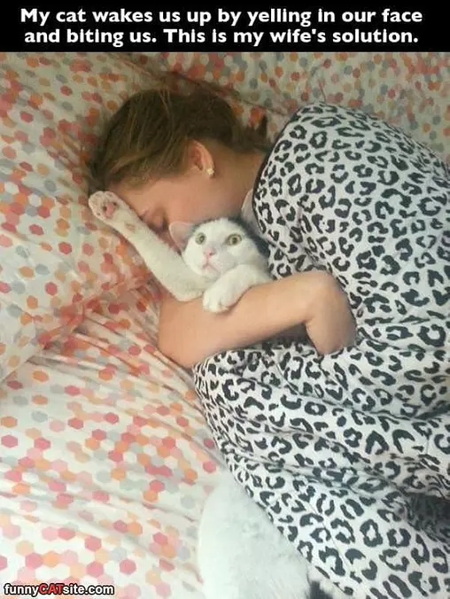 Wake Up