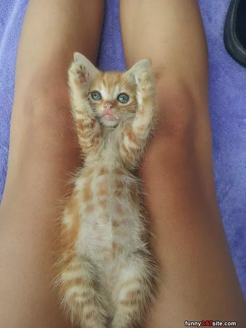Hands Up