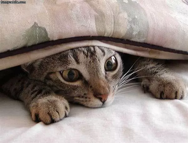 Peekaboo