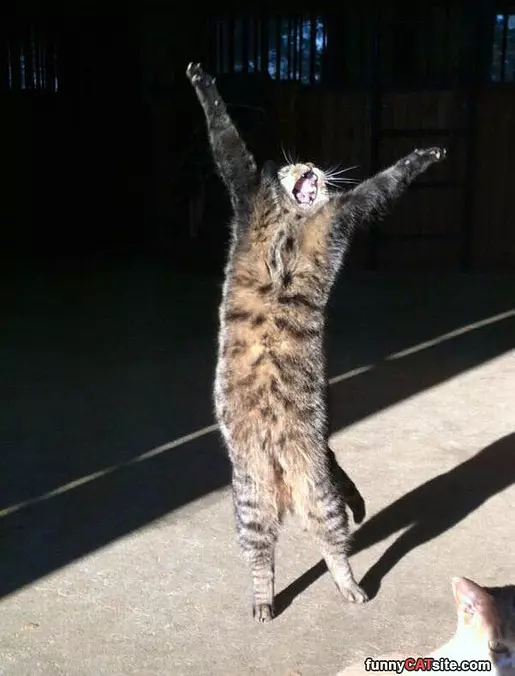 Hurrrayyyyy