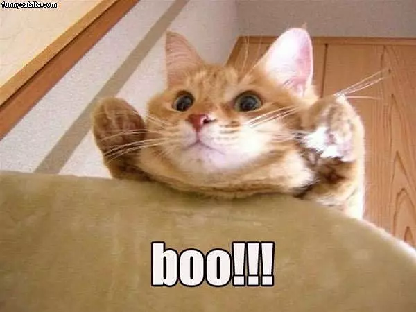 Boo