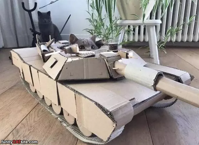 I Am A Tank Now